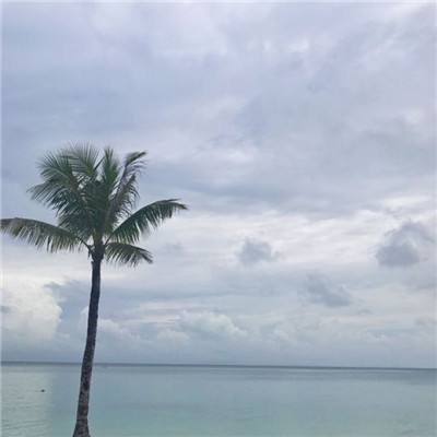 天龙八部手游果盘端下载